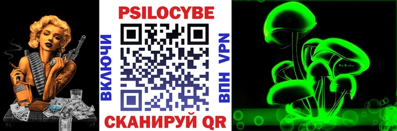 цены наркотик  Талица  Псилоцибиновые грибы ЛСД 